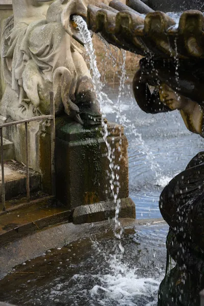 DSC_6905 (Large).JPG